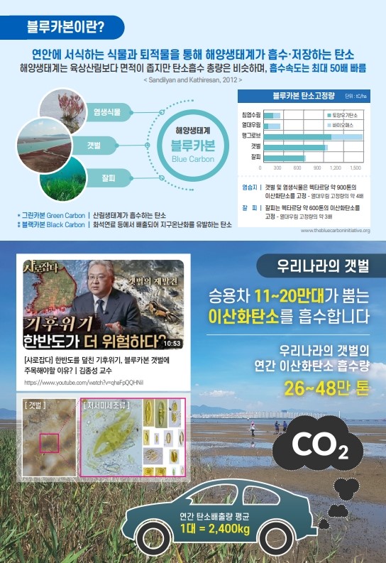 블루카본 연구소개 이미지