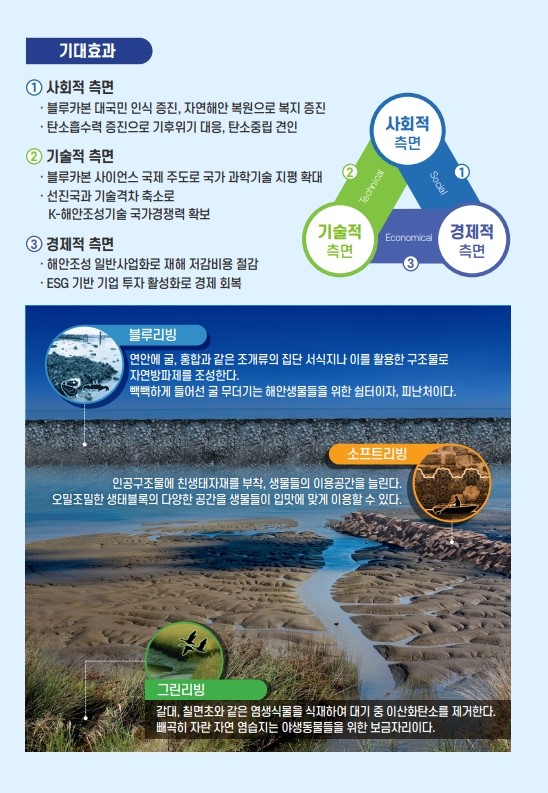 블루카본 연구소개 이미지